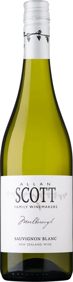 2023 Allan Scott Sauvignon Blanc | Wine Library