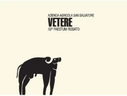 2022 San Salvatore Rosato Vetere | Wine Library -WINE LIBRARY Sales original 9